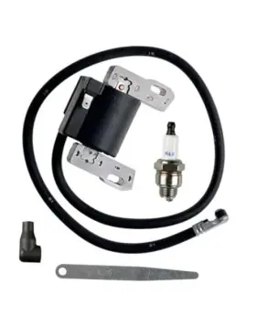 Aymk321 Chaoli Wh 398811 Ignition Coil For Horizontal Vertical Single Cylinder Engines Amature