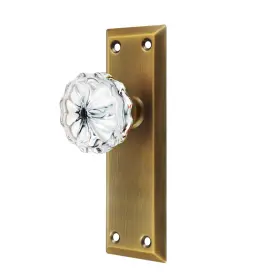 Newliplace 635408118837 2 Pack Antique Brass Single Sided Dummy