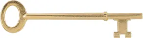 Uniqantiq Hardware Supply 677946451069 Brass Plated Skeleton Key With Triple Notched Bit For Mortise And Rim Architectura