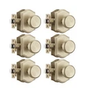 Starpy 6 Pack Pismo For Hall, Gold Interior New. Price: $30.99.
